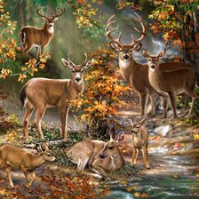 Схема вышивки «оленья семья»