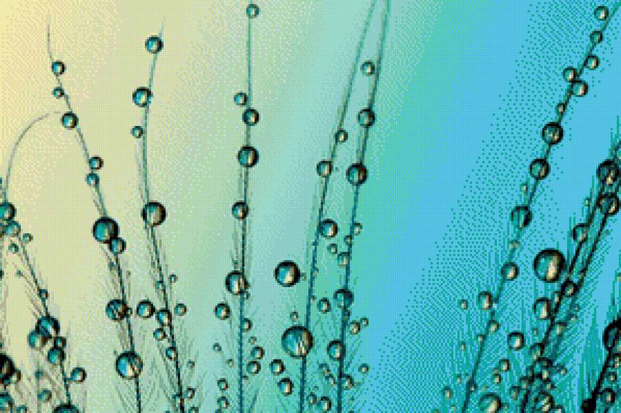 Роса - картина, вода, роса - предпросмотр
