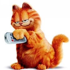 Схема вышивки «Гарфилд»