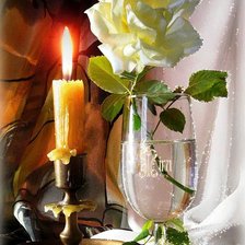 Схема вышивки «белая роза»