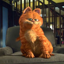 Схема вышивки «Рыжий кот»