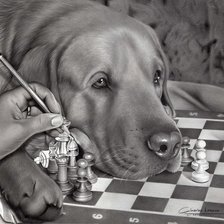 Схема вышивки «Pies»