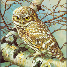 Схема вышивки «№814905»