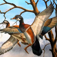 Схема вышивки «№814940»