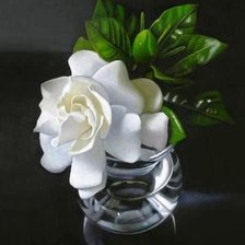 Схема вышивки «№814945»