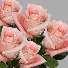 Схема вышивки «Розы»