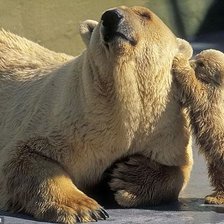 Схема вышивки «мама»