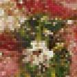 Предпросмотр схемы вышивки «маки» (№815241)