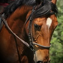 Схема вышивки «Каспер»