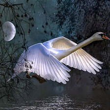 Схема вышивки «№815525»