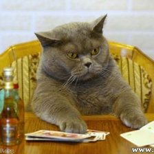 Схема вышивки «кот - романтик»