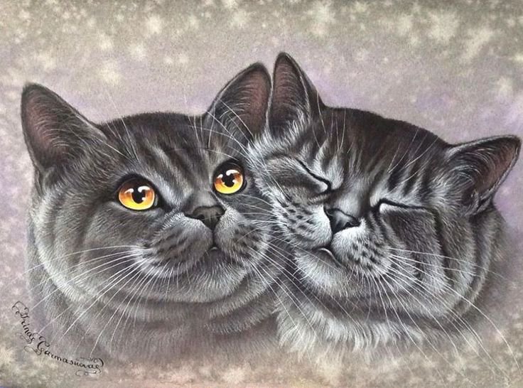 домашние любимцы - оригинал