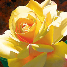 Схема вышивки «жёлтая роза»