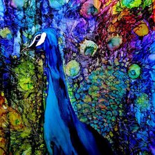 Схема вышивки «Paw»