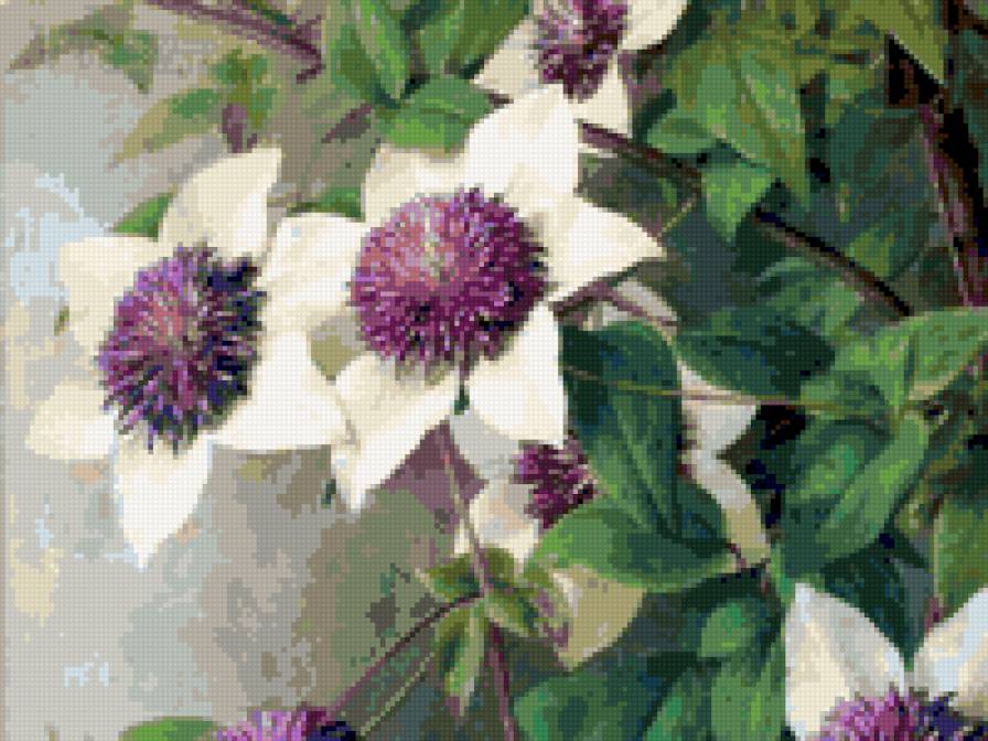 живопись - цыветы, живопись - предпросмотр