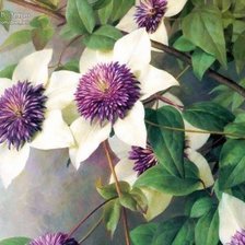 Схема вышивки «живопись»