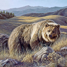 Схема вышивки «№815940»