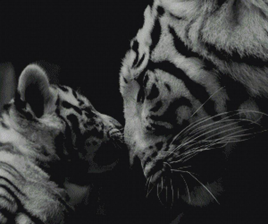 тигр с тигреноком - дикие кошки, черно-белый, тигр, тигренок, хищник, дикий - предпросмотр