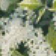 Предпросмотр схемы вышивки «букет белой сирени» (№816154)