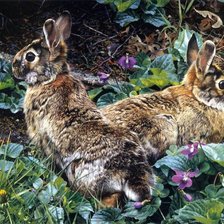 Схема вышивки «0204»