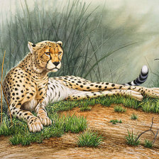 Схема вышивки «№816632»