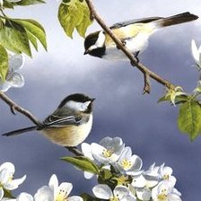 Схема вышивки «№816633»