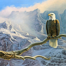 Схема вышивки «№816634»