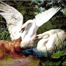 Схема вышивки «№816666»