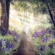 Схема вышивки «в тенистом лесу»