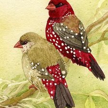 Схема вышивки «№816988»