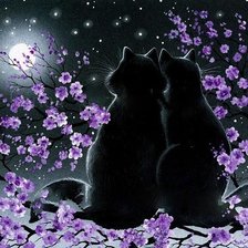 Схема вышивки «кошки»