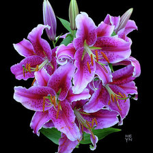 Схема вышивки «№817115»