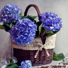 Схема вышивки «Голубая гортензия»