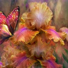 Схема вышивки «яркие цвета»