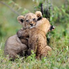 Схема вышивки «Обнимашки»