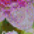 Предпросмотр схемы вышивки «цветок» (№817274)