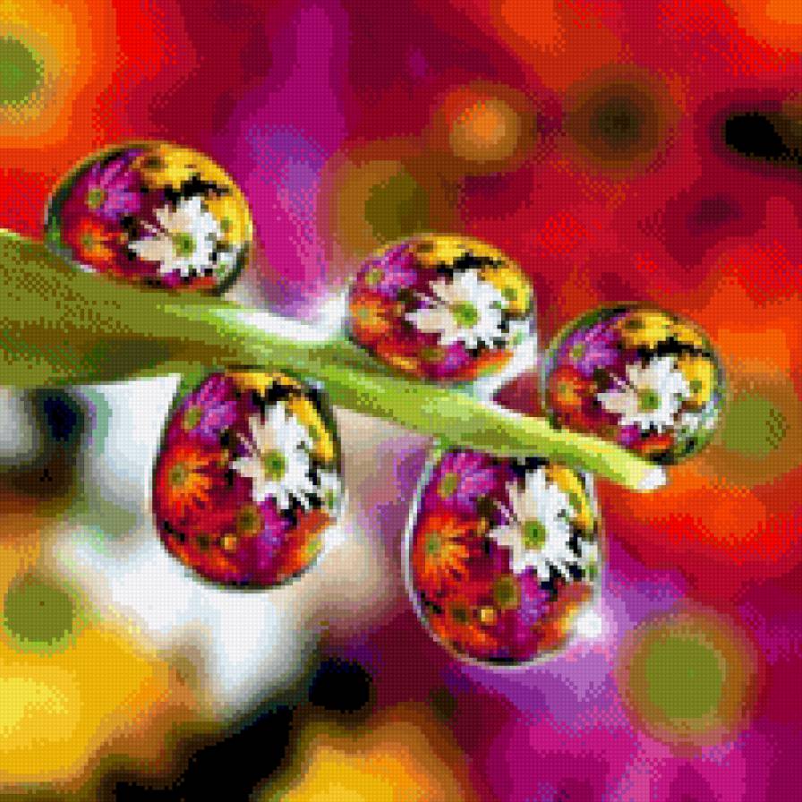 роса2 - цветы, роса, яркие картинки - предпросмотр