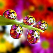 Схема вышивки «роса2»