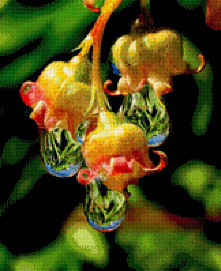 цветок2 - яркие цвета, цветок, роса - предпросмотр