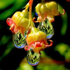 Схема вышивки «цветок2»