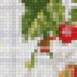 Предпросмотр схемы вышивки «калина» (№817306)