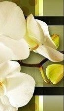 Схема вышивки «триптих 4ч, 12х33»