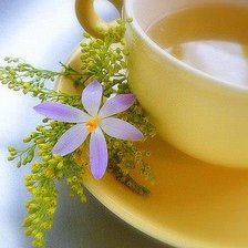 Схема вышивки «cерия "кухня"»