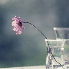 Схема вышивки «Ко́смос»