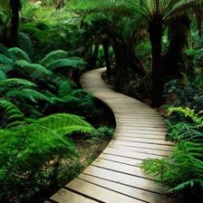 Схема вышивки «тропка»