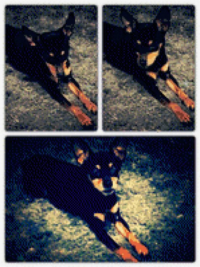 Джесси))) - предпросмотр