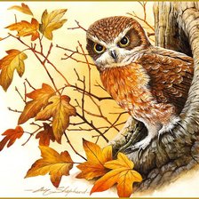 Схема вышивки «№817771»