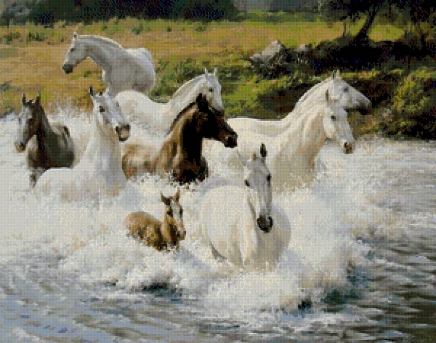 №817836 - предпросмотр