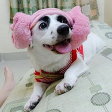 Схема вышивки «misen»