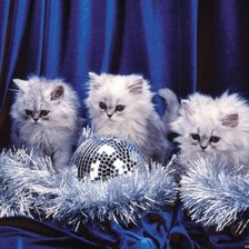 Схема вышивки «Котята»